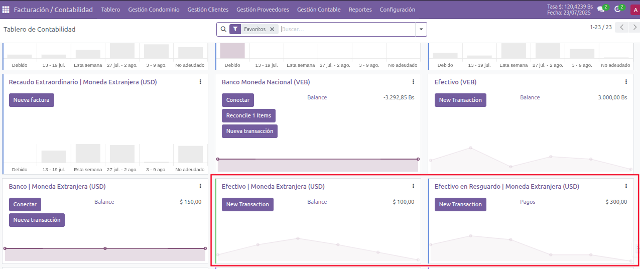 Control de Efectivo en Moneda Extranjera. Manual de Procedimiento Administrativo y Contable 3 Odoo Condominio